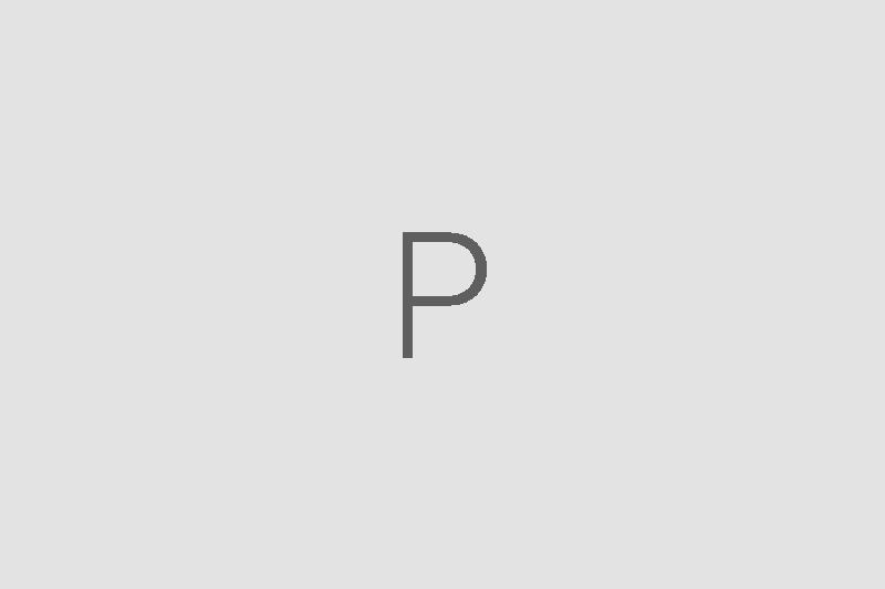 unnamed image